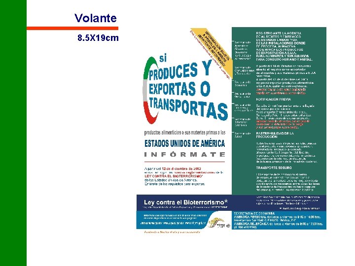 Volante 8. 5 X 19 cm 