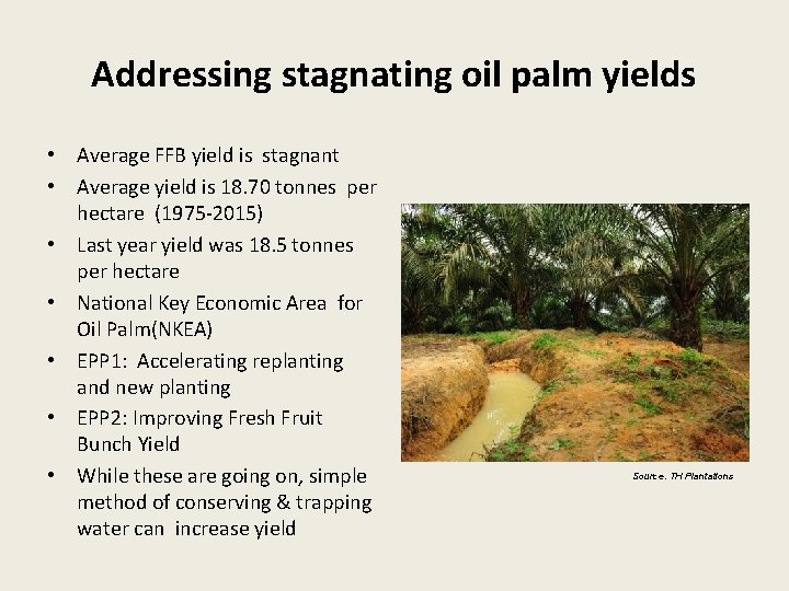 Addressing stagnating oil palm yields • Average FFB yield is stagnant • Average yield