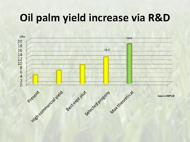 Oil palm yield increase via R&D 