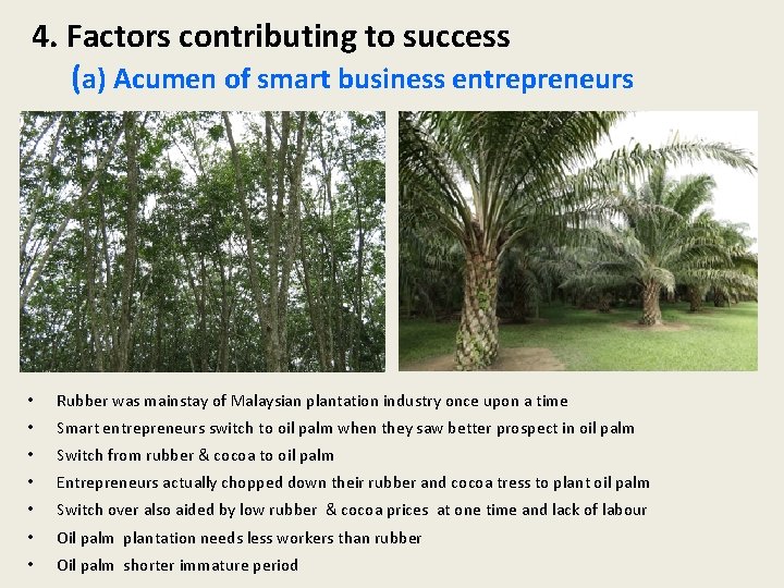 4. Factors contributing to success (a) Acumen of smart business entrepreneurs • Rubber was