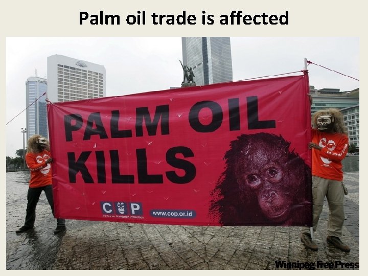 Palm oil trade is affected 