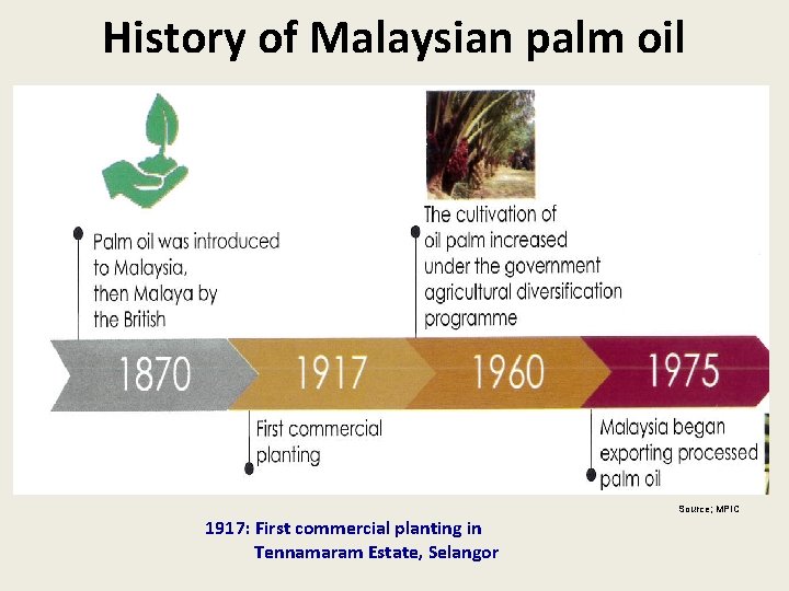 History of Malaysian palm oil Source; MPIC 1917: First commercial planting in Tennamaram Estate,