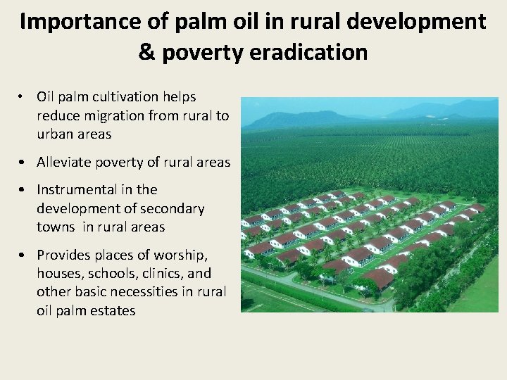 Importance of palm oil in rural development & poverty eradication • Oil palm cultivation