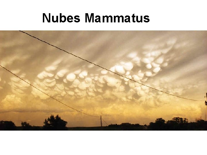 Nubes Mammatus 