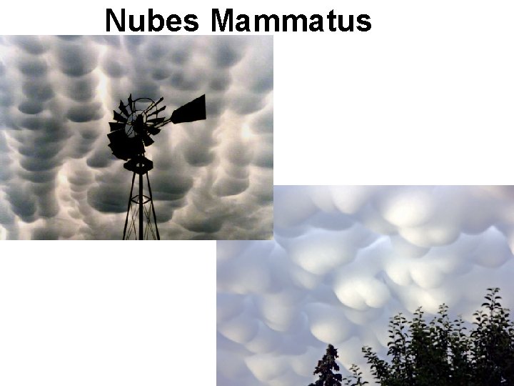 Nubes Mammatus 