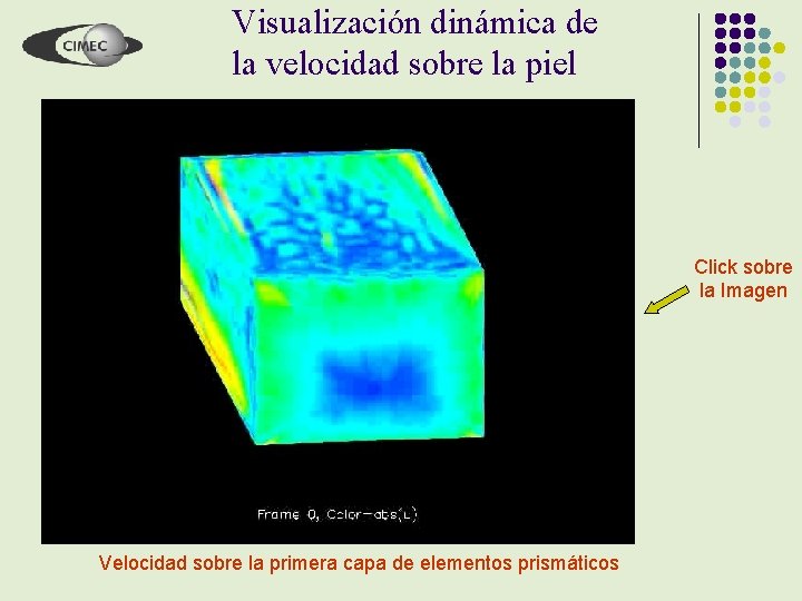 Visualización dinámica de la velocidad sobre la piel Click sobre la Imagen Velocidad sobre