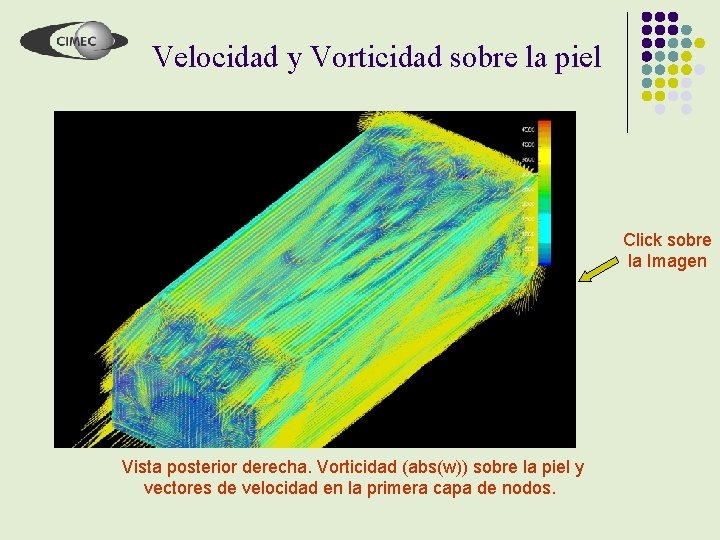 Velocidad y Vorticidad sobre la piel Click sobre la Imagen Vista posterior derecha. Vorticidad