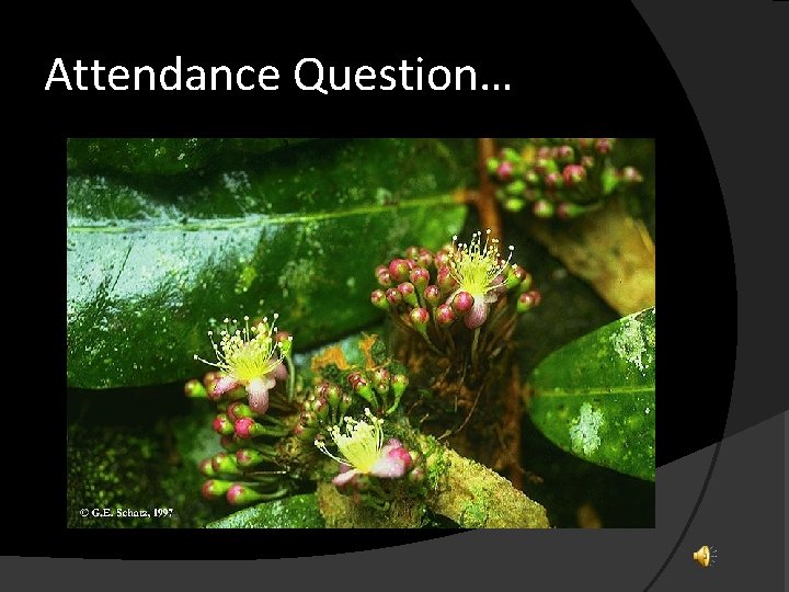 Attendance Question… 
