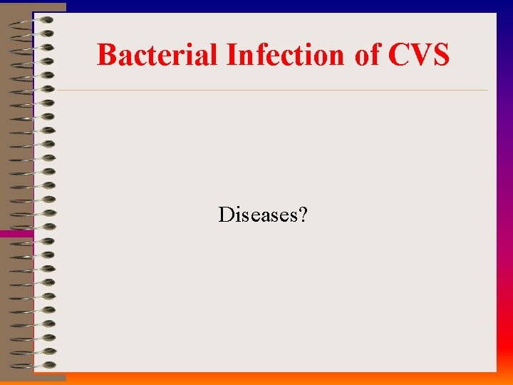 Bacterial Infection of CVS Diseases? 