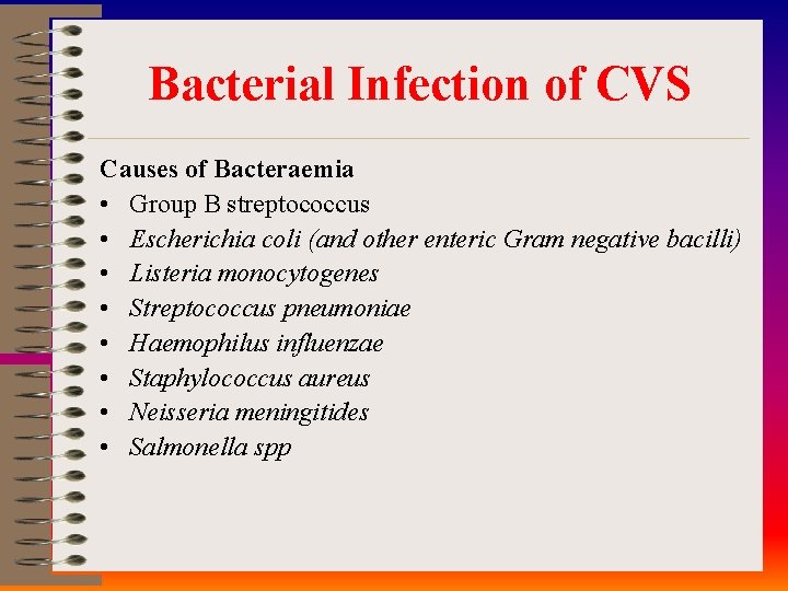 Bacterial Infection of CVS Causes of Bacteraemia • Group B streptococcus • Escherichia coli