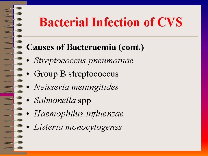 Bacterial Infection of CVS Causes of Bacteraemia (cont. ) • Streptococcus pneumoniae • Group