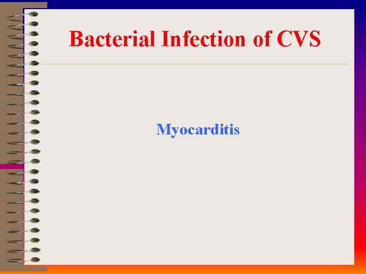 Bacterial Infection of CVS Myocarditis 