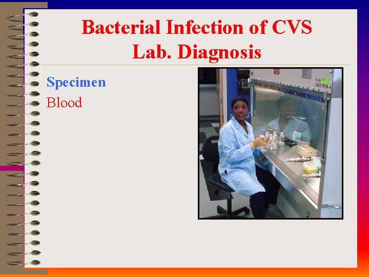 Bacterial Infection of CVS Lab. Diagnosis Specimen Blood 