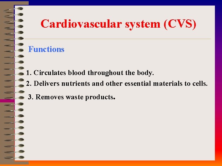 Cardiovascular system (CVS) Functions 1. Circulates blood throughout the body. 2. Delivers nutrients and
