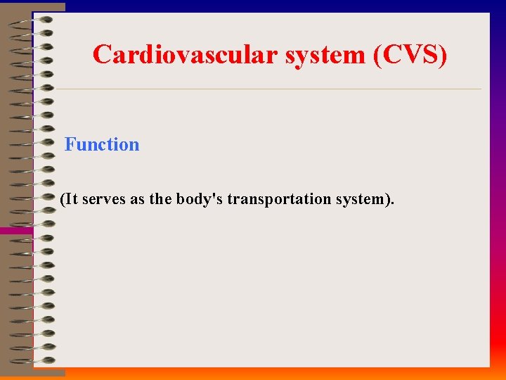 Cardiovascular system (CVS) Function (It serves as the body's transportation system). 