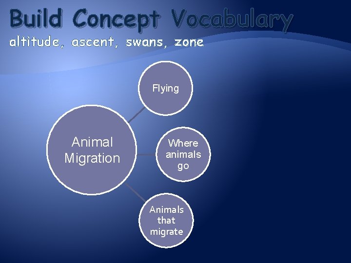 Build Concept Vocabulary altitude, ascent, swans, zone Flying Animal Migration Where animals go Animals