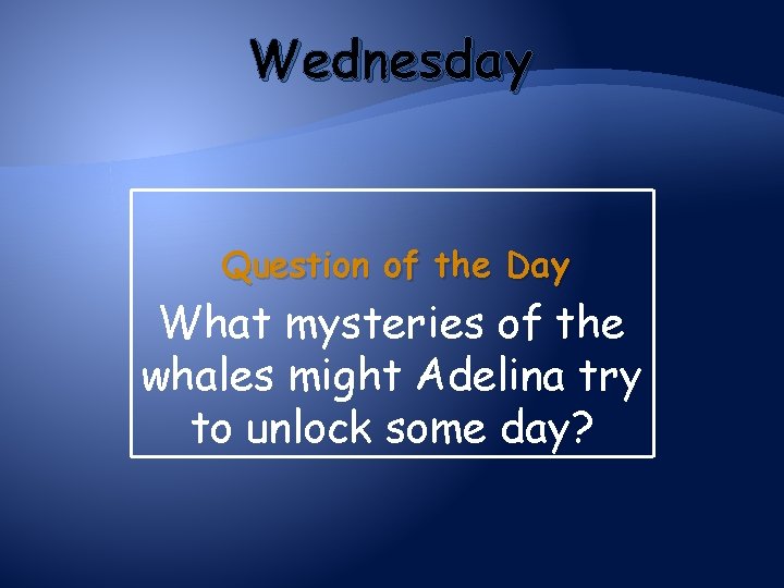 Wednesday Question of the Day What mysteries of the whales might Adelina try to