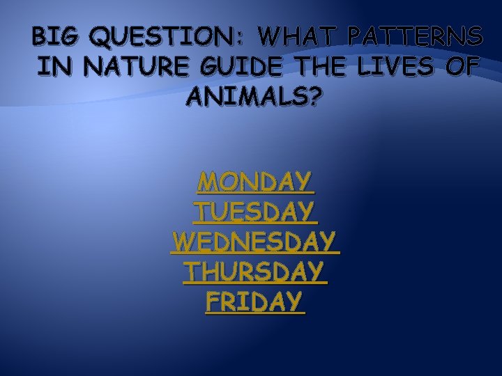 BIG QUESTION: WHAT PATTERNS IN NATURE GUIDE THE LIVES OF ANIMALS? MONDAY TUESDAY WEDNESDAY