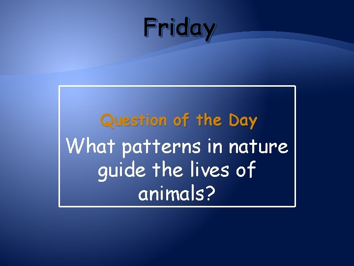 Friday Question of the Day What patterns in nature guide the lives of animals?