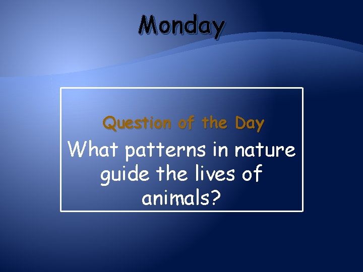 Monday Question of the Day What patterns in nature guide the lives of animals?