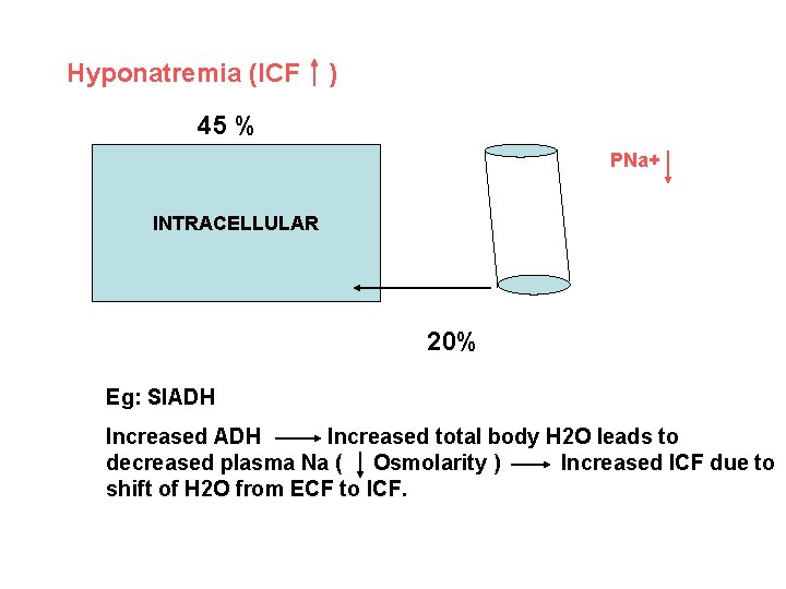 Hyponatremia (ICF ) 45 % PNa+ INTRACELLULAR 20% Eg: SIADH Increased total body H