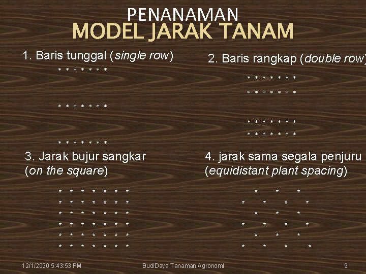 PENANAMAN MODEL JARAK TANAM 1. Baris tunggal (single row) 2. Baris rangkap (double row)