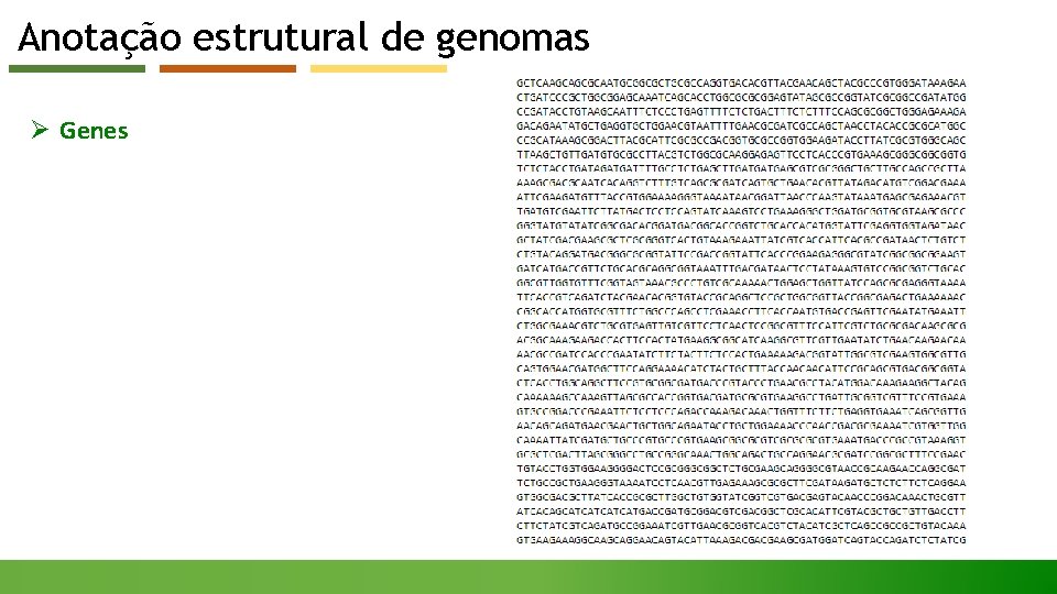 Anotação estrutural de genomas Ø Genes 