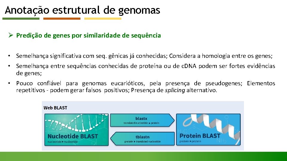 Anotação estrutural de genomas Ø Predição de genes por similaridade de sequência • Semelhança