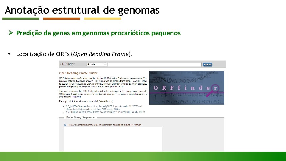 Anotação estrutural de genomas Ø Predição de genes em genomas procarióticos pequenos • Localização