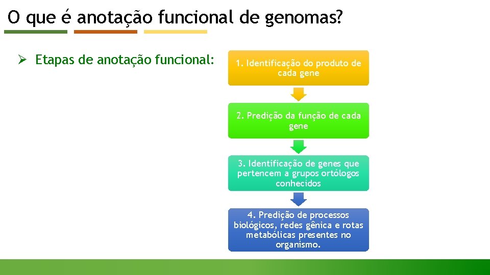 O que é anotação funcional de genomas? Ø Etapas de anotação funcional: 1. Identificação