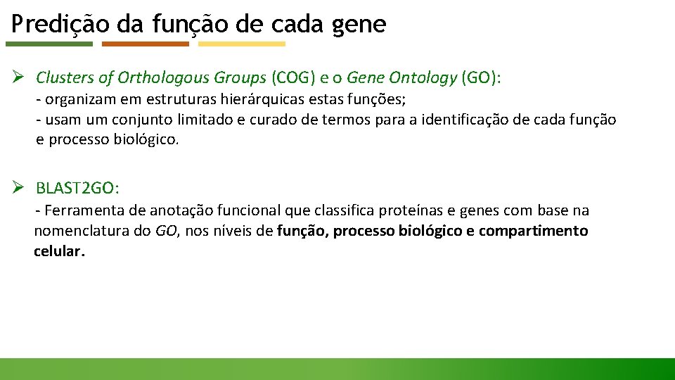 Predição da função de cada gene Ø Clusters of Orthologous Groups (COG) e o