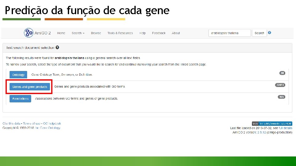 Predição da função de cada gene 