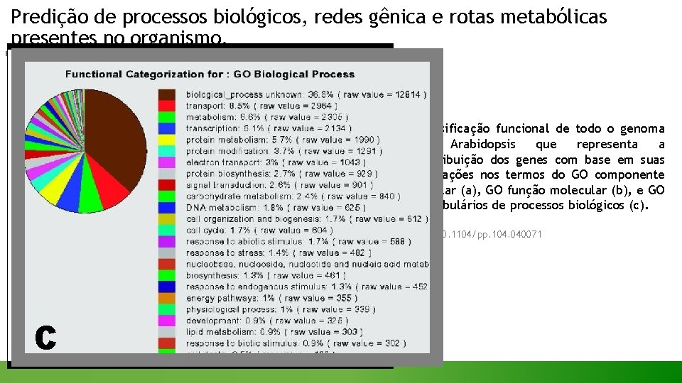 Predição de processos biológicos, redes gênica e rotas metabólicas presentes no organismo. Classificação funcional