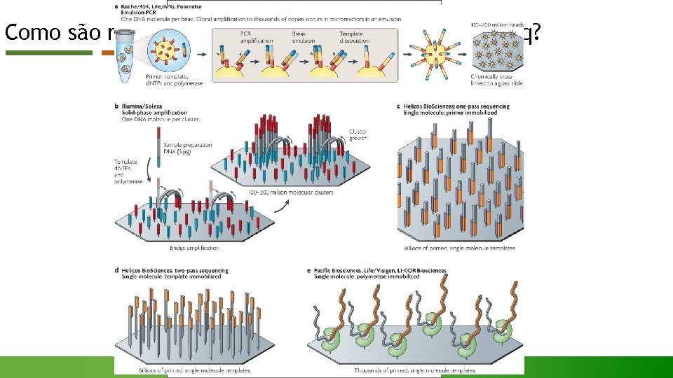 Como são realizada as anotações utilizando RNA-Seq? 