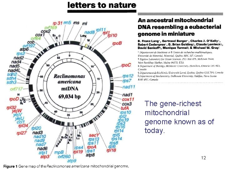 The gene-richest mitochondrial genome known as of today. 12 