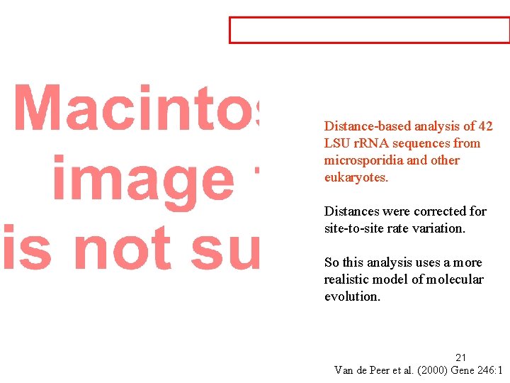 Distance-based analysis of 42 LSU r. RNA sequences from microsporidia and other eukaryotes. Distances