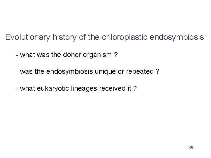 Evolutionary history of the chloroplastic endosymbiosis - what was the donor organism ? -
