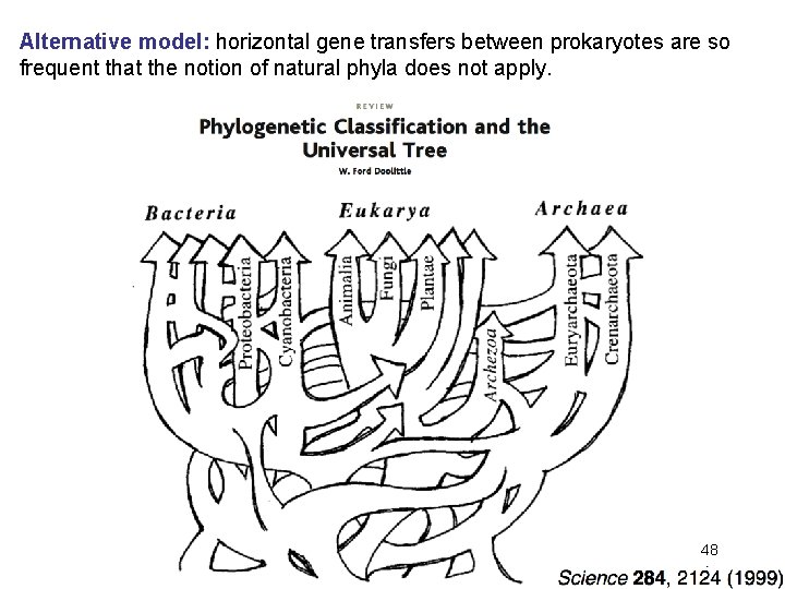 Alternative model: horizontal gene transfers between prokaryotes are so frequent that the notion of