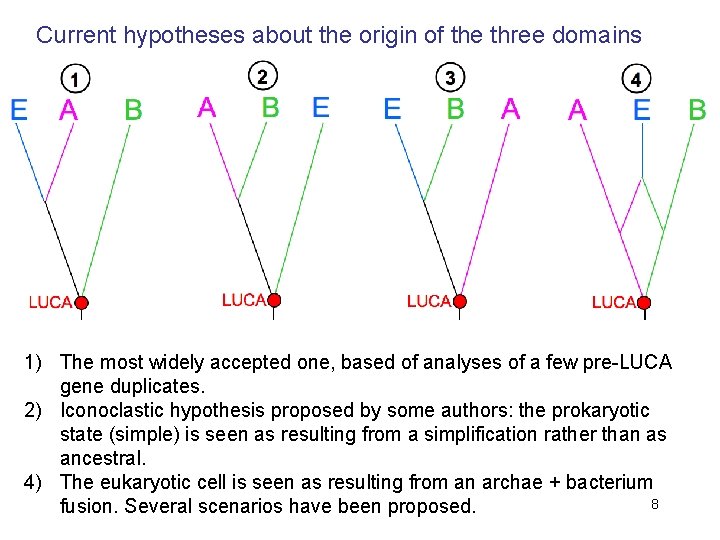 Current hypotheses about the origin of the three domains 1) The most widely accepted