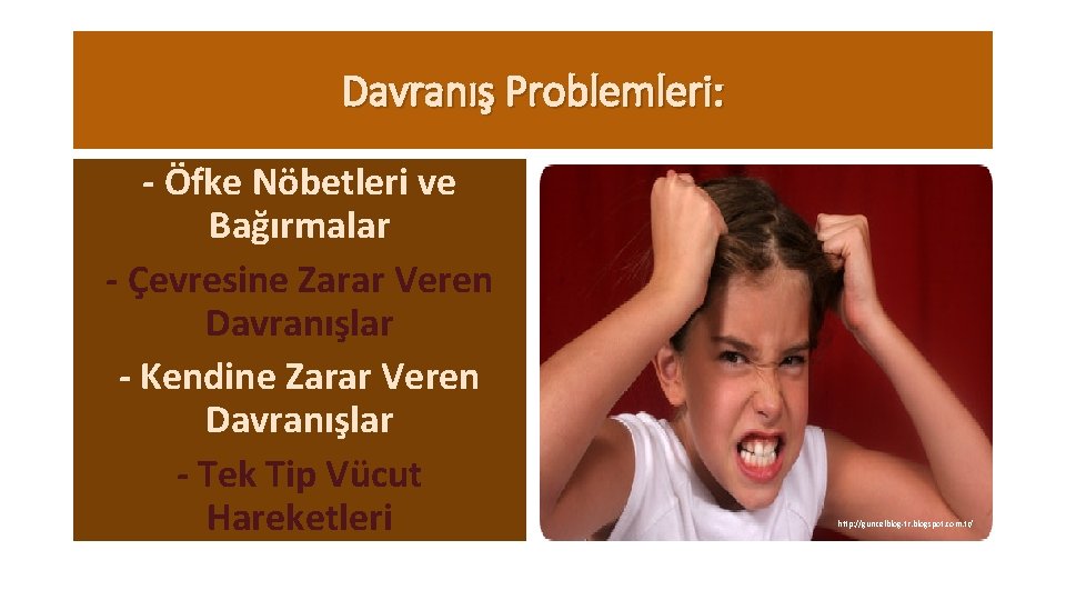 Davranış Problemleri: - Öfke Nöbetleri ve Bağırmalar - Çevresine Zarar Veren Davranışlar - Kendine