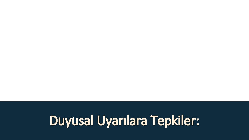 Duyusal Uyarılara Tepkiler: 