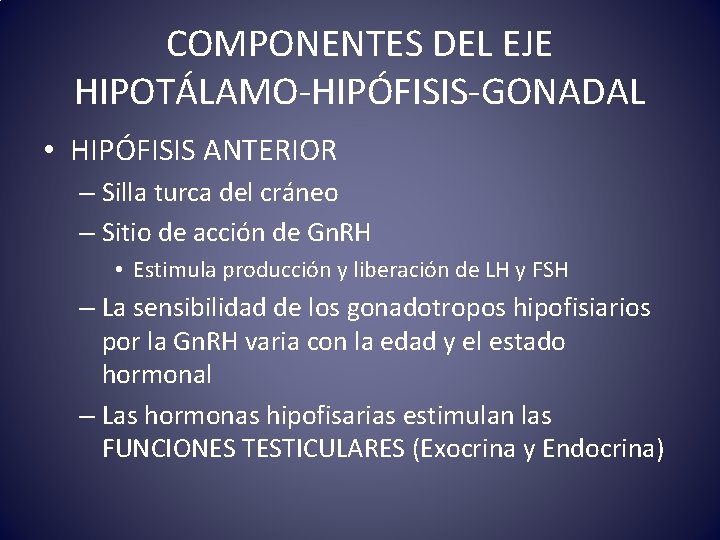 COMPONENTES DEL EJE HIPOTÁLAMO-HIPÓFISIS-GONADAL • HIPÓFISIS ANTERIOR – Silla turca del cráneo – Sitio