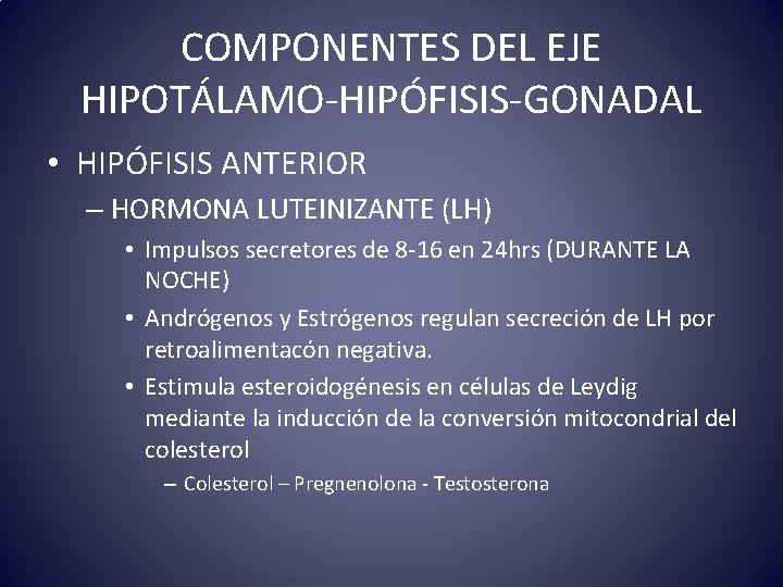 COMPONENTES DEL EJE HIPOTÁLAMO-HIPÓFISIS-GONADAL • HIPÓFISIS ANTERIOR – HORMONA LUTEINIZANTE (LH) • Impulsos secretores