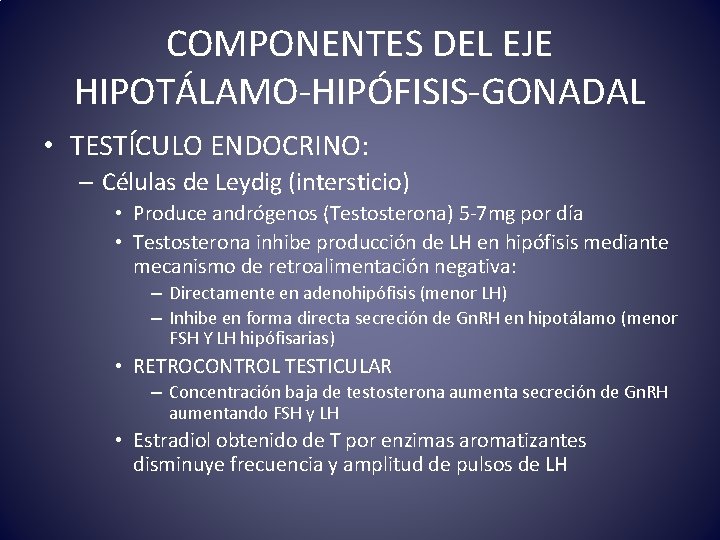 COMPONENTES DEL EJE HIPOTÁLAMO-HIPÓFISIS-GONADAL • TESTÍCULO ENDOCRINO: – Células de Leydig (intersticio) • Produce