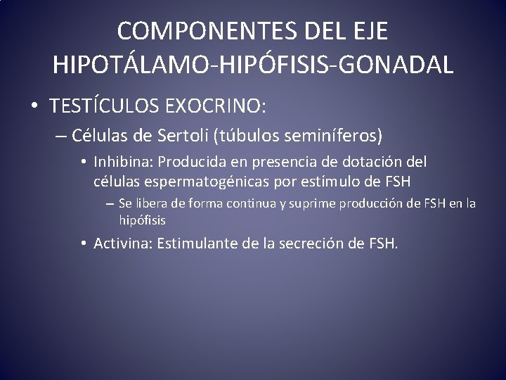 COMPONENTES DEL EJE HIPOTÁLAMO-HIPÓFISIS-GONADAL • TESTÍCULOS EXOCRINO: – Células de Sertoli (túbulos seminíferos) •