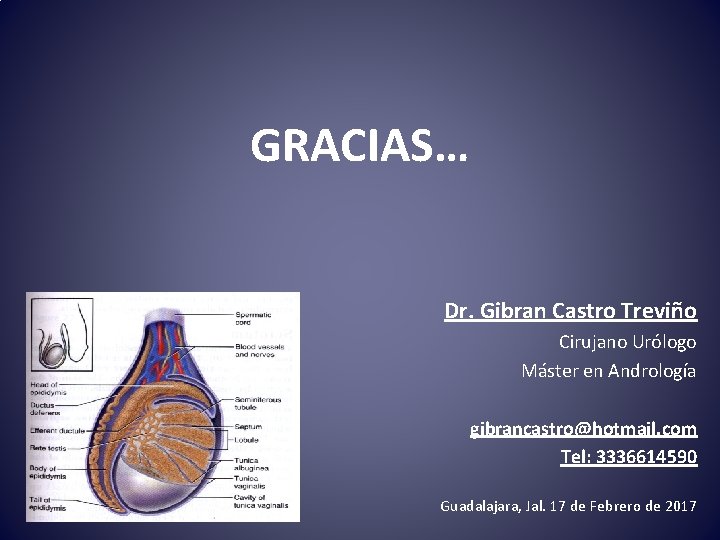 GRACIAS… Dr. Gibran Castro Treviño Cirujano Urólogo Máster en Andrología gibrancastro@hotmail. com Tel: 3336614590