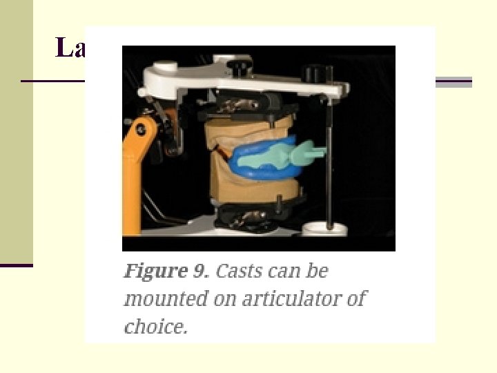 Laboratory Procedures 