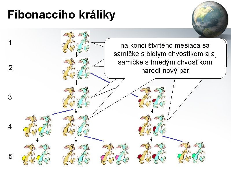 Fibonacciho králiky 1 2 3 4 5 konci štvrtého mesiaca sa nana konci prvého