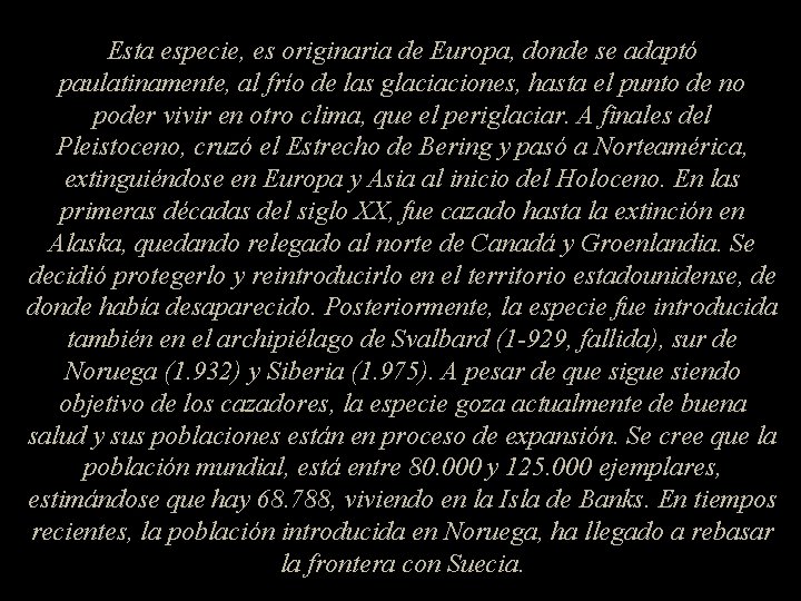 Esta especie, es originaria de Europa, donde se adaptó paulatinamente, al frío de las