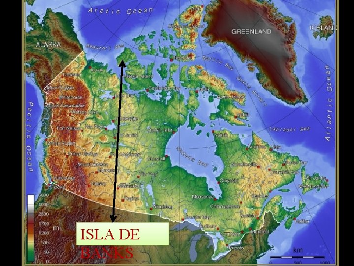 ISLA DE BANKS 